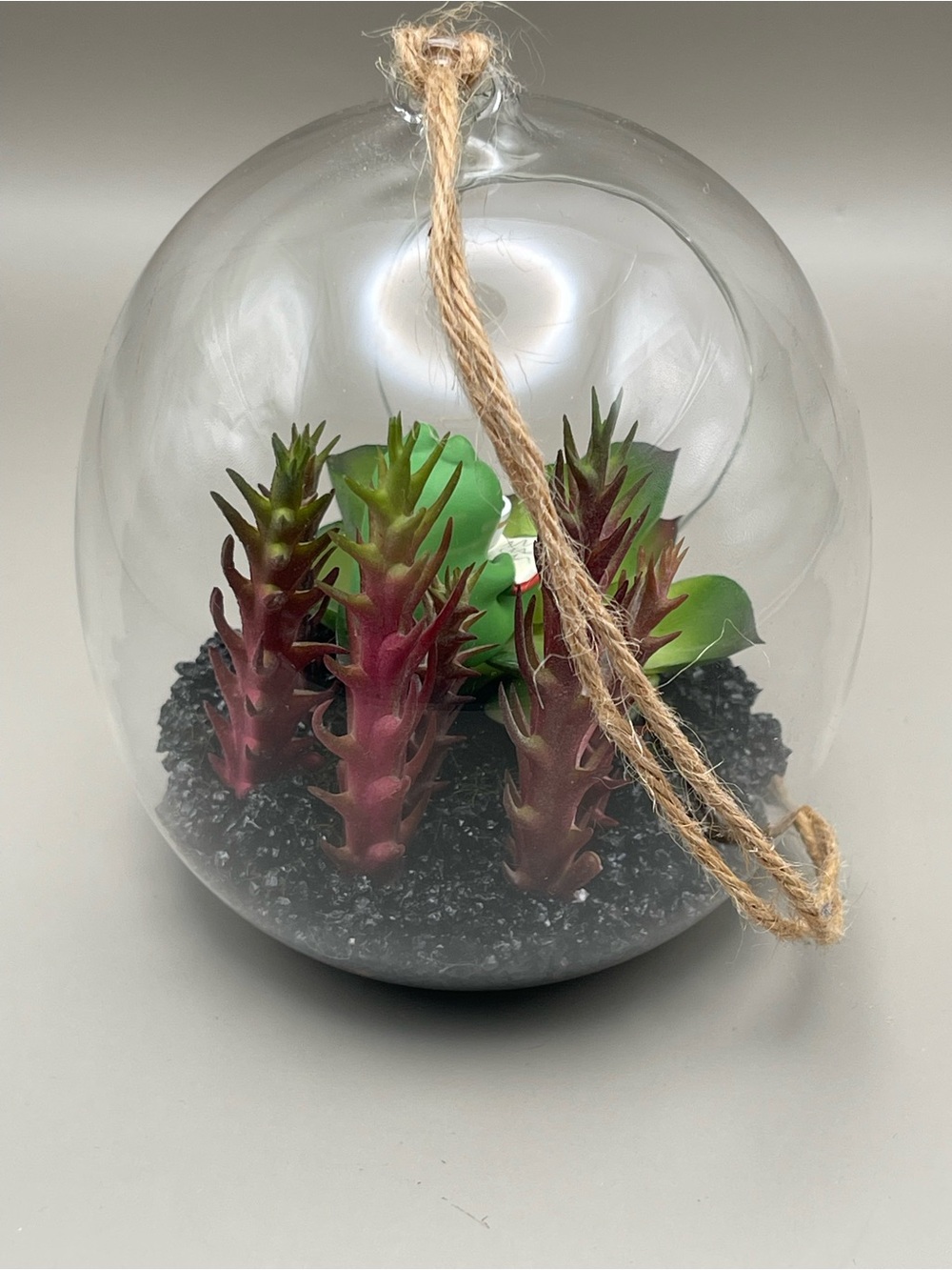 🐸 Happy Place Terrarium – Hanging Glass Decor ☕️📖 - Picture 5 of 8